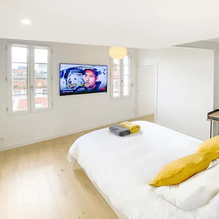 Luxueux Loft Aux Carmes