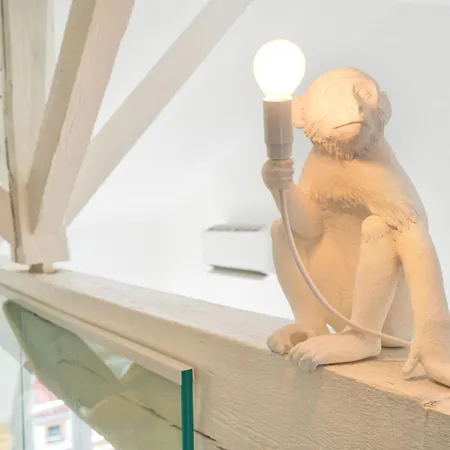 Luxueux Loft Aux Carmes Appartamento Tolosa