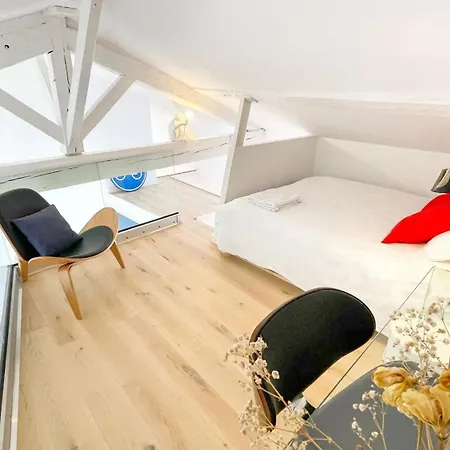 Luxueux Loft Aux Carmes *